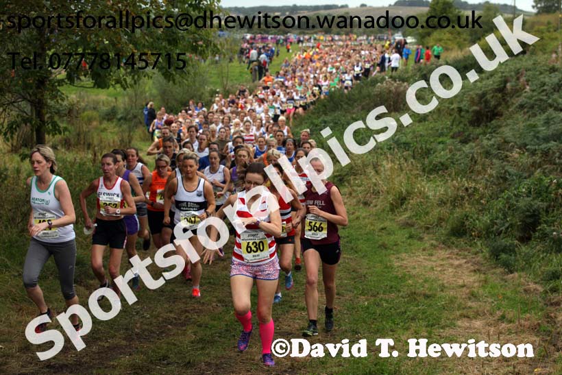 Senior womens Start Fitness North Eastern Harrier League, Tanfield, County Durham. Photo: David T. Hewitson/Sports for All Pics